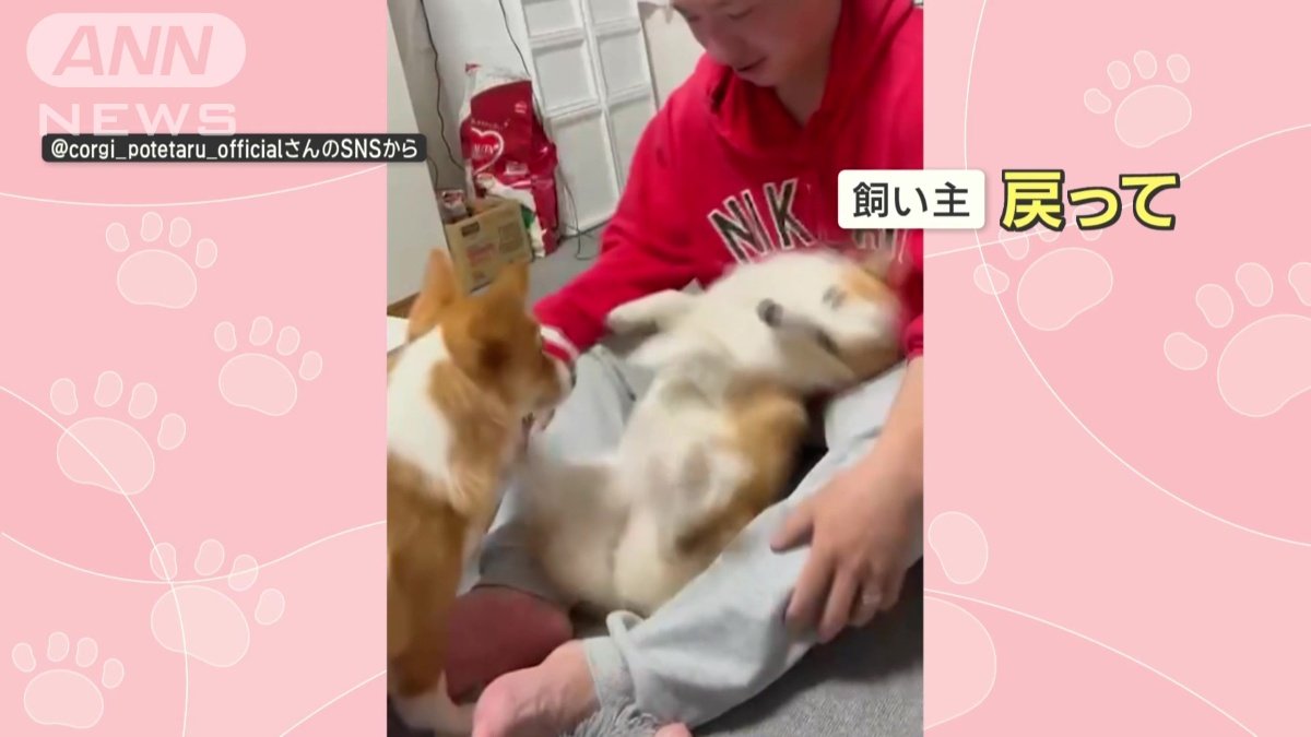 また倒れる