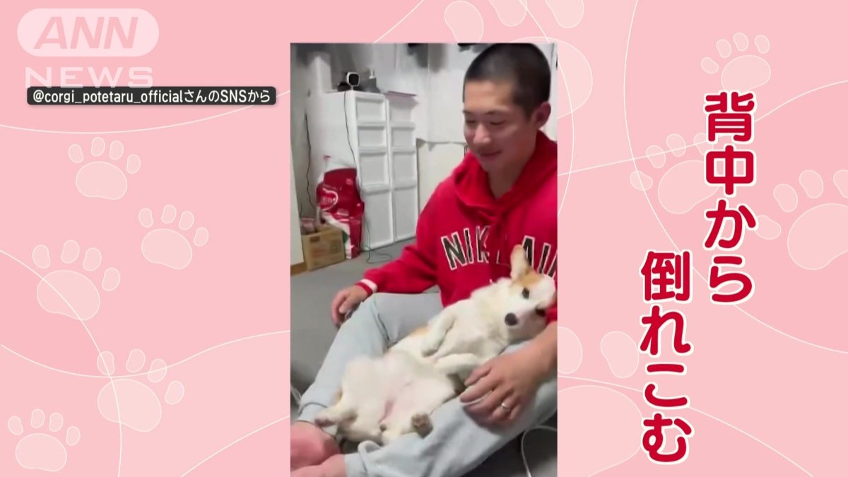 背中から倒れこむ