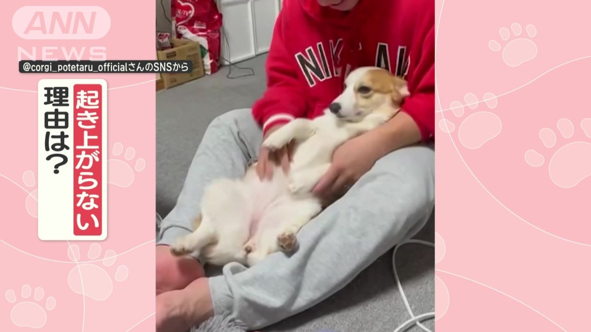 起き上がらない理由は？