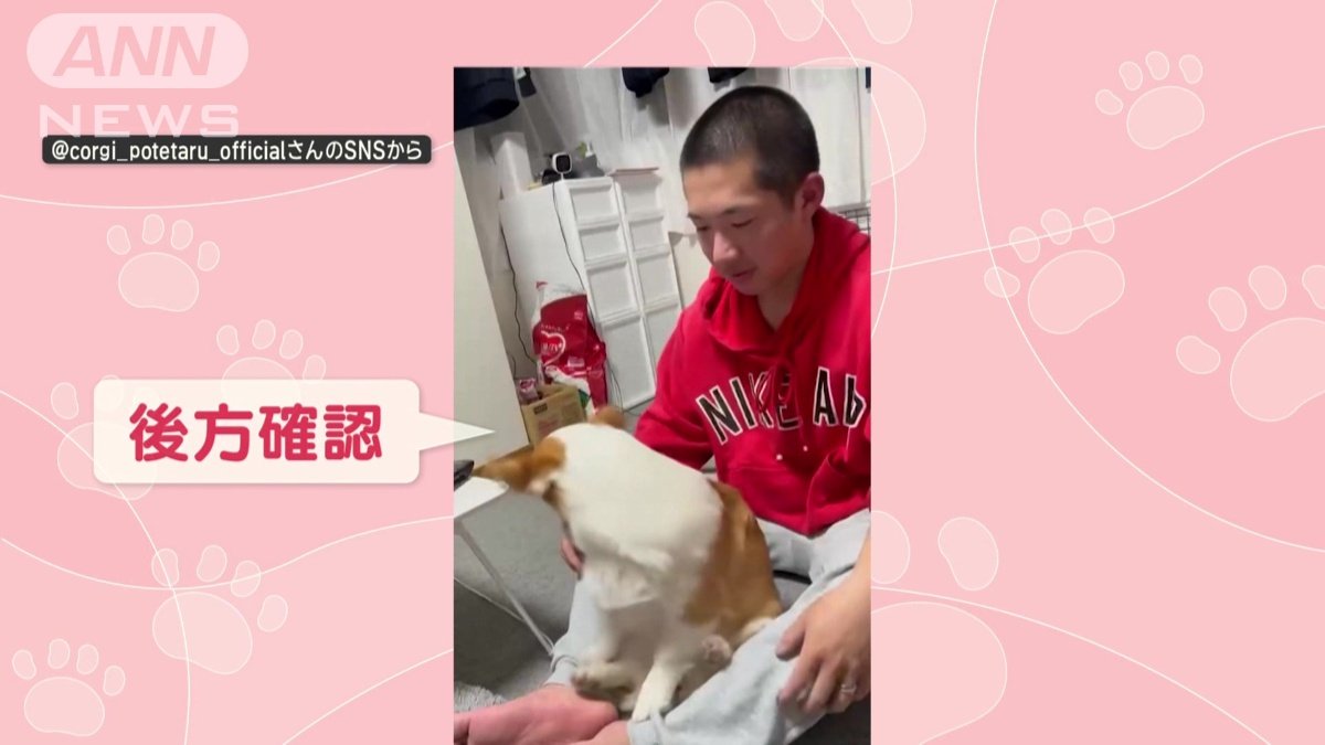 後方確認して…