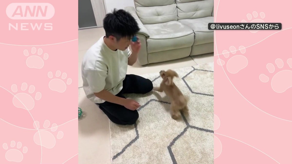 お父さんと遊ぶ