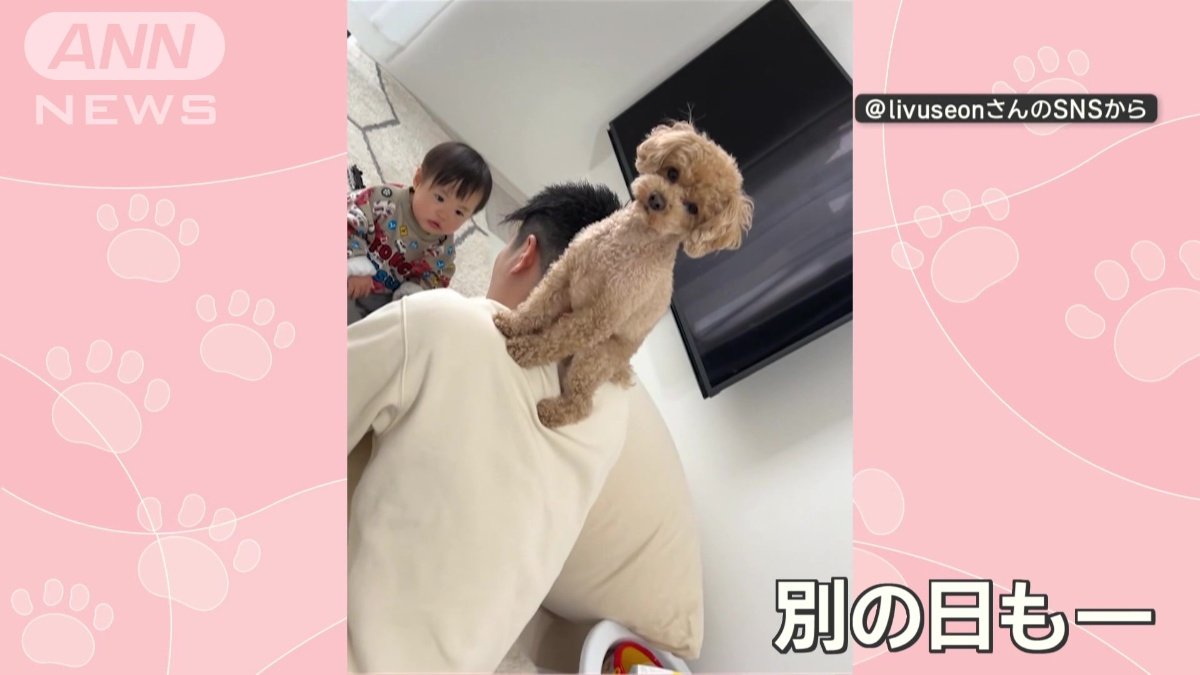 別の日も