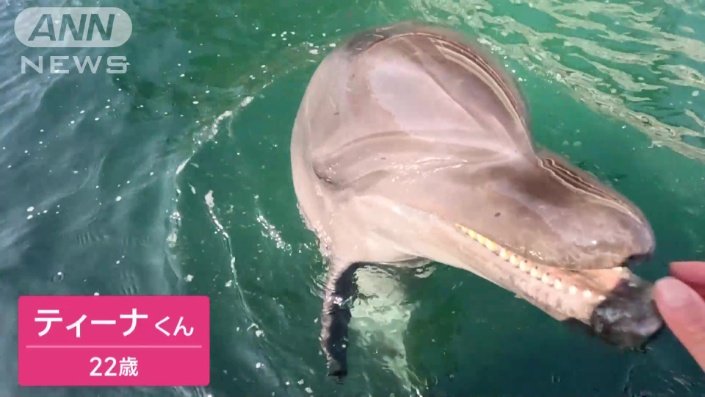 いたずらっ子のティーナくん