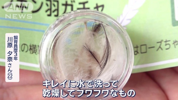 およそ500個を売り上げた