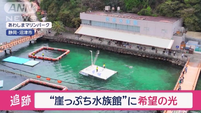 “崖っぷち水族館”に希望の光