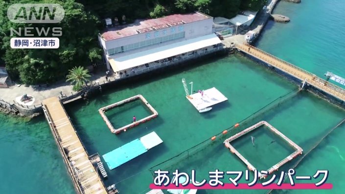 船で渡る水族館「あわしまマリンパーク」