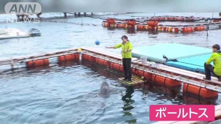 ボールトスでは…