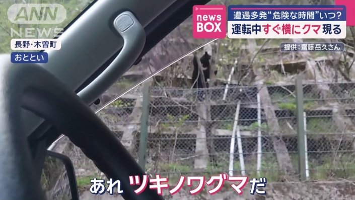 車のすぐ横に迫るクマ