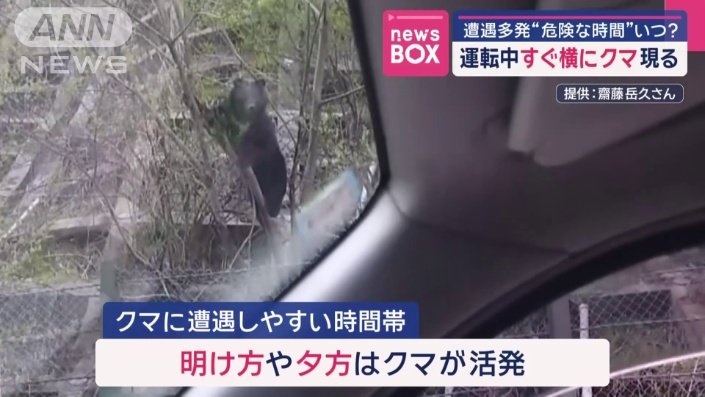 クマに遭遇しやすい時間帯