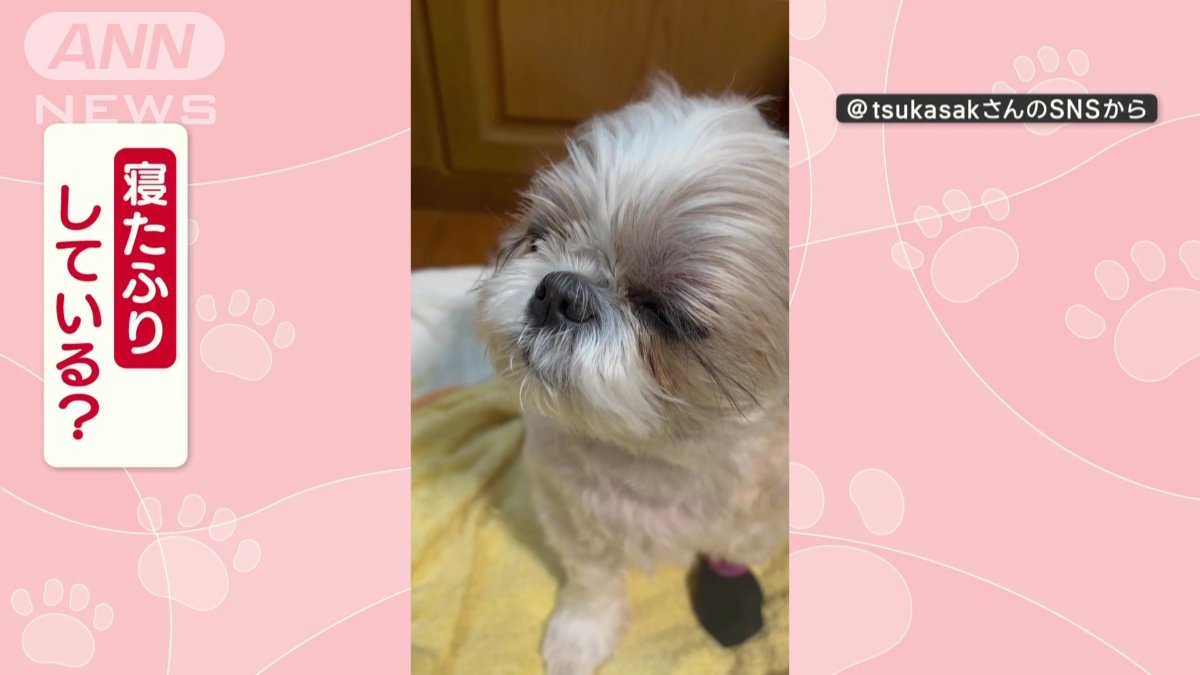 寝たふりしてる？