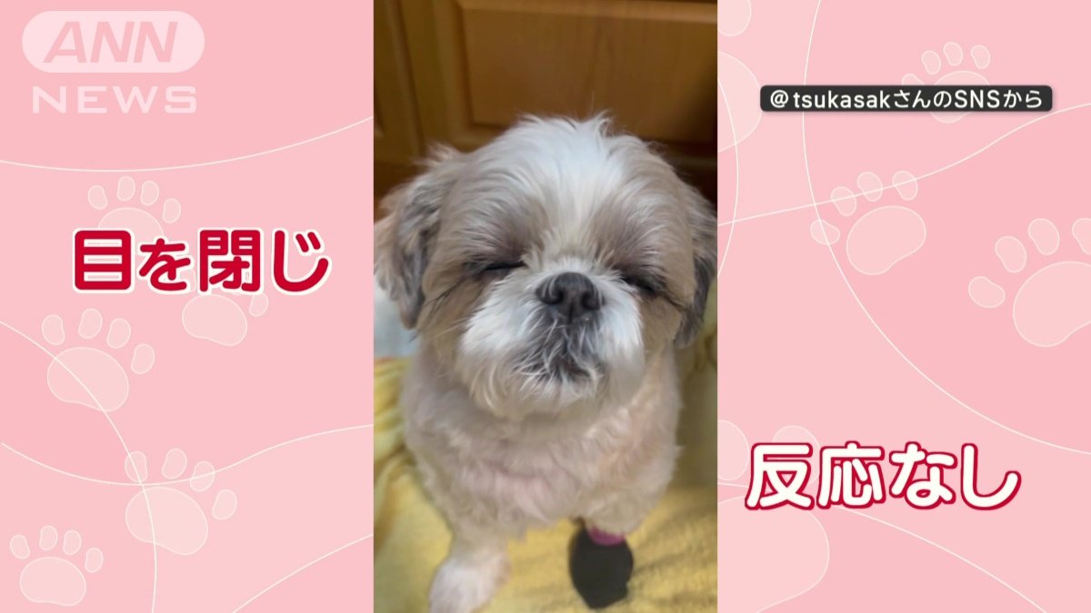 目を閉じ、反応なし