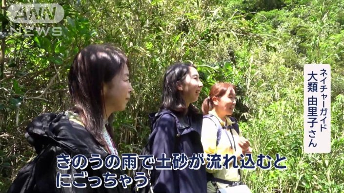 前日の雨が影響