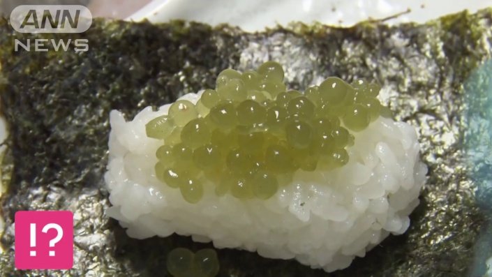 緑色のイクラ!?