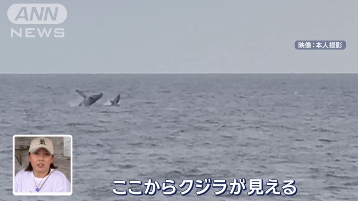 足湯しながらクジラが見える