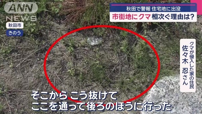 「この辺の足跡がクマだと思う」