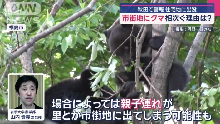 「子どもが多く生まれる可能性が非常に高い」