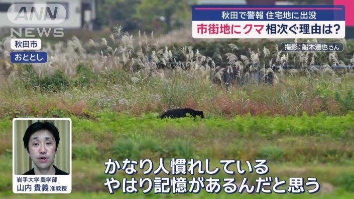 岩手大学 農学部 山内貴義准教授