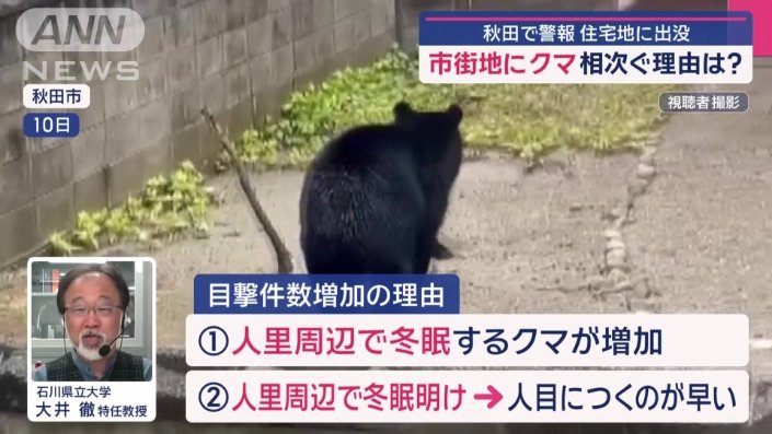 目撃件数増加の理由