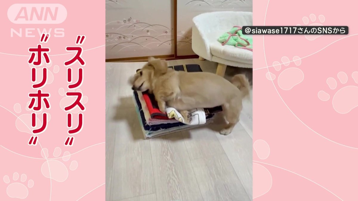 “ホリホリ” “スリスリ”