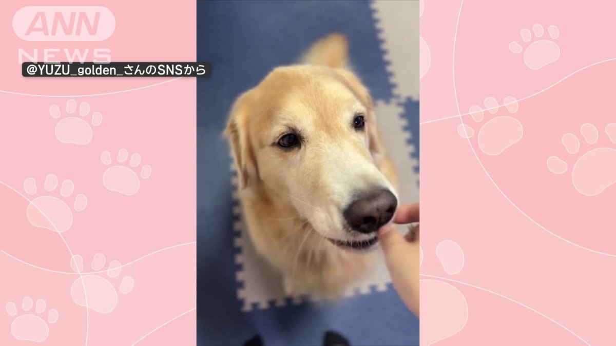 ごはんを食べる