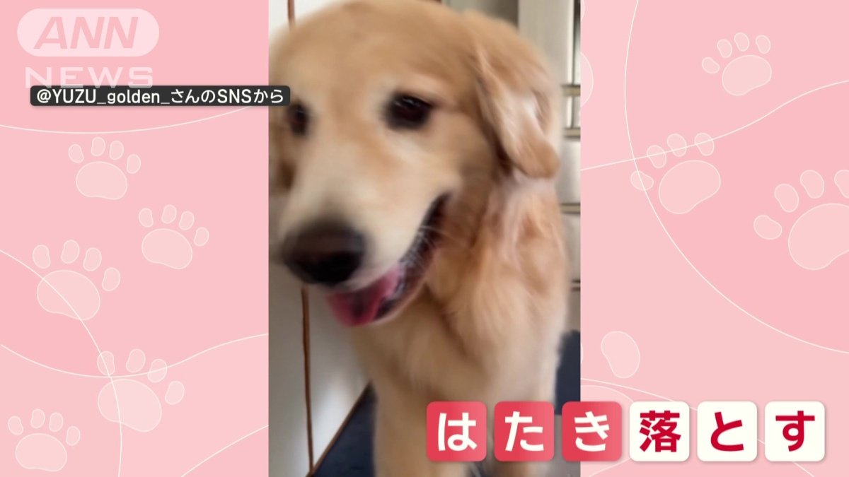 スマホをはたき落とす