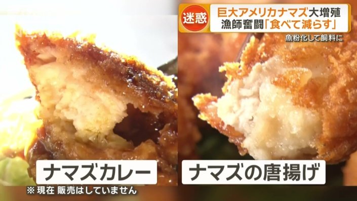 「ナマズカレー」など開発
