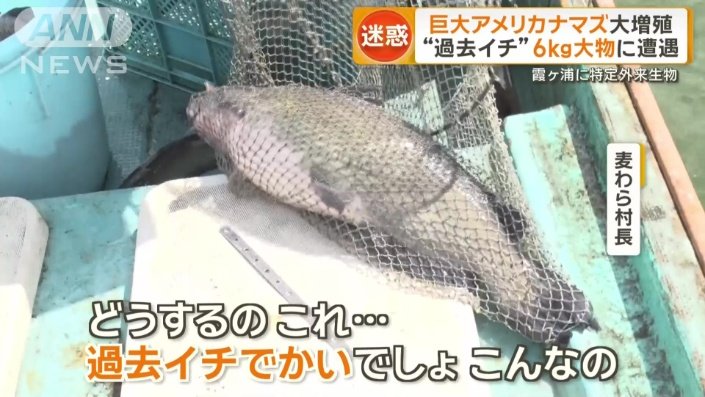 「過去イチでかい」