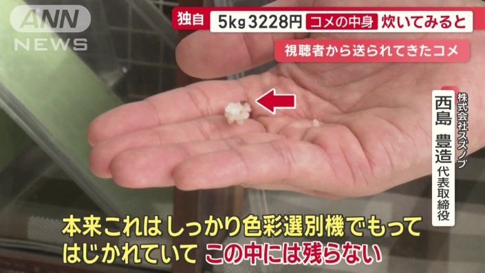 ごみのようなものが…