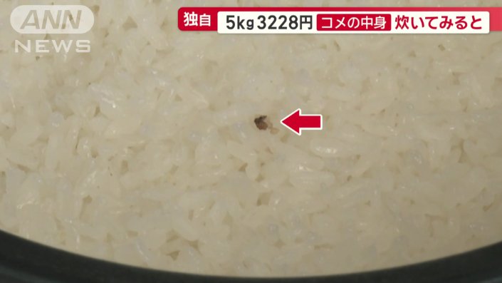 炊きあがったコメの上に、黒いものが…