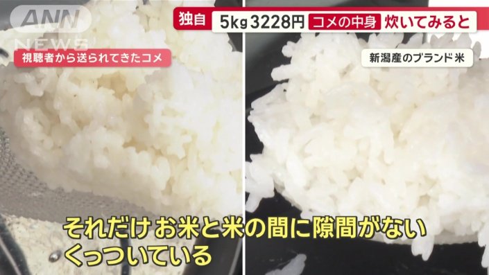 炊きあがった2つのコメを比較