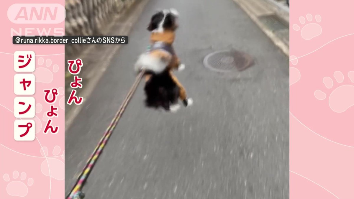 ぴょんぴょんジャンプ！