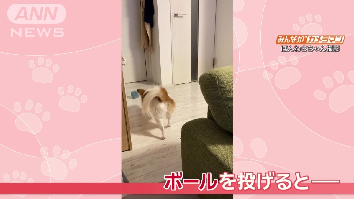 ボールを投げると
