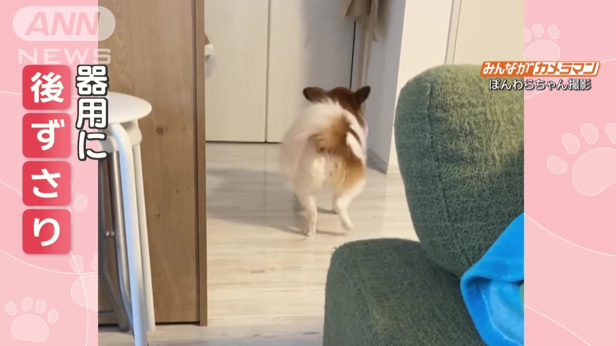 別の日も…後ずさり