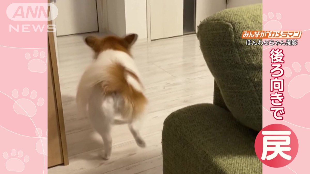 後ろ向きのまま戻る
