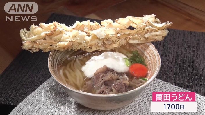 畳スタイルのごぼう天