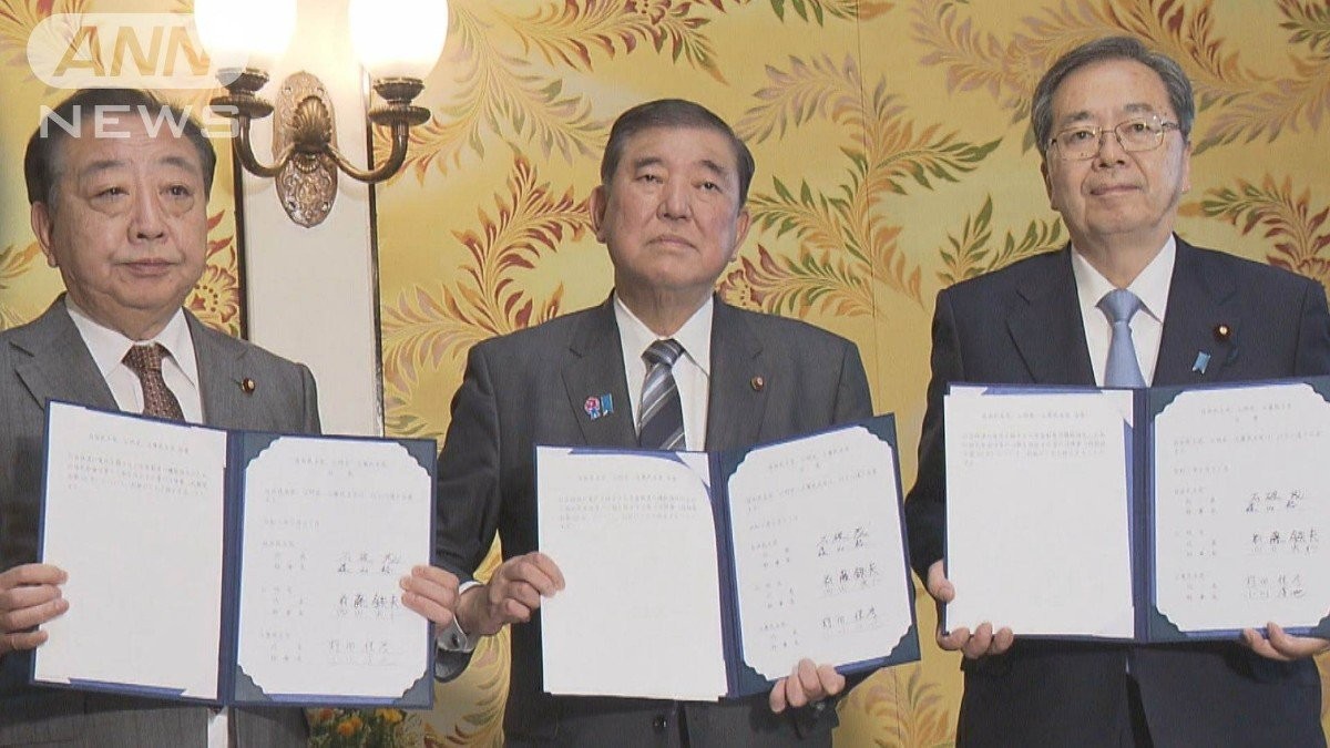 年金底上げ法案提出の立憲　「歴代政権が不作為」制度批判　厚生年金を零細企業にも