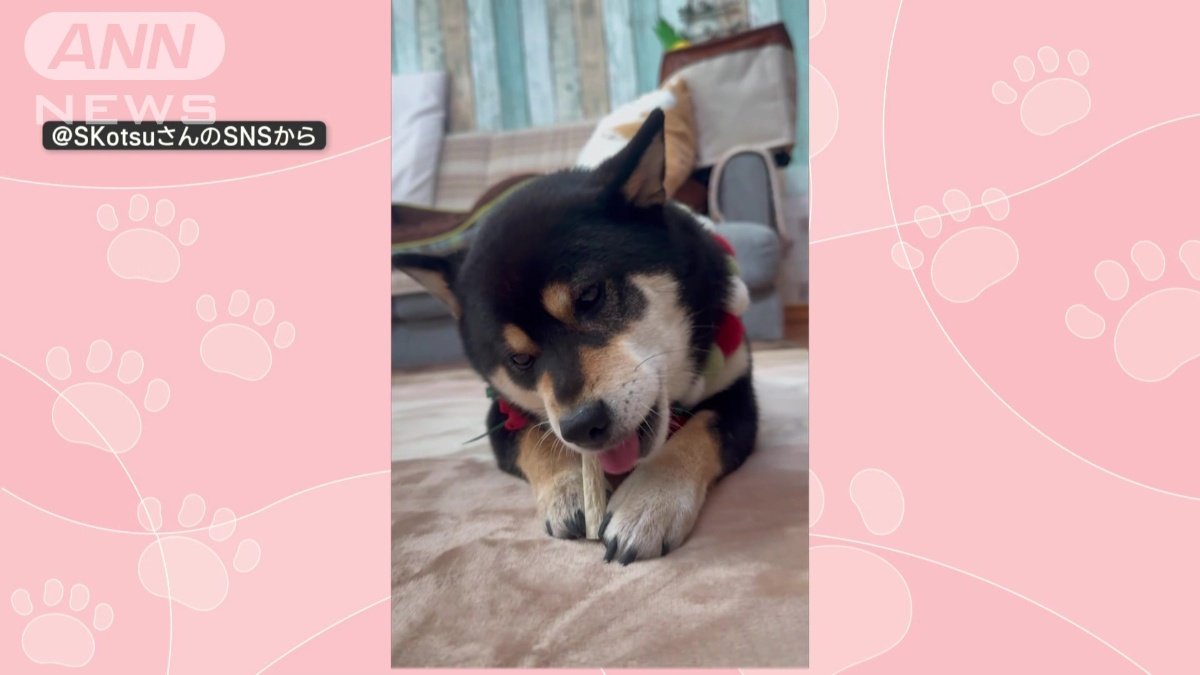 おやつを食べる