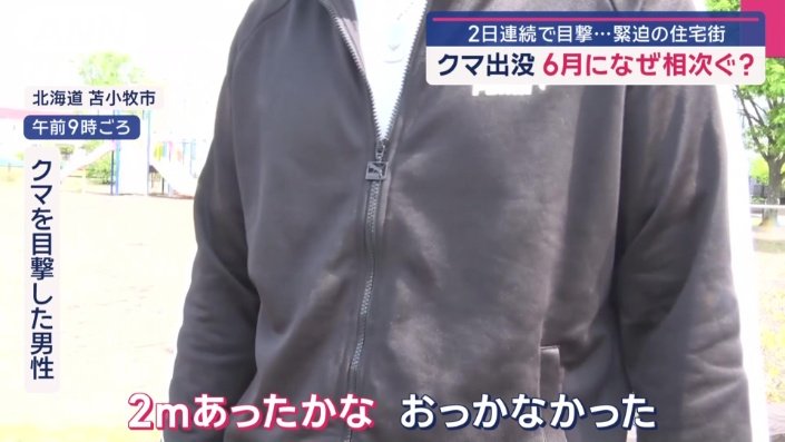 クマを目撃した男性