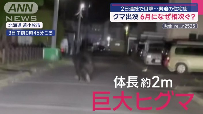 隣接する公園の中へ