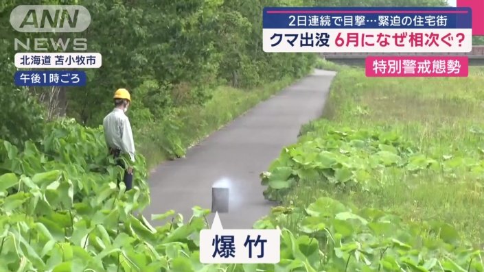 爆竹を鳴らして警戒