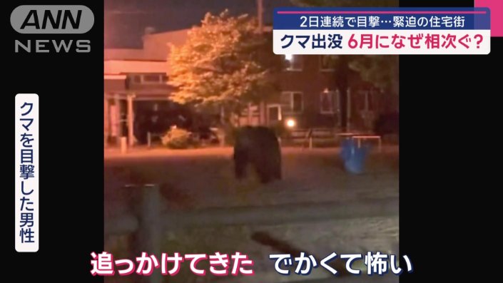 男性は、すぐさま警察に通報