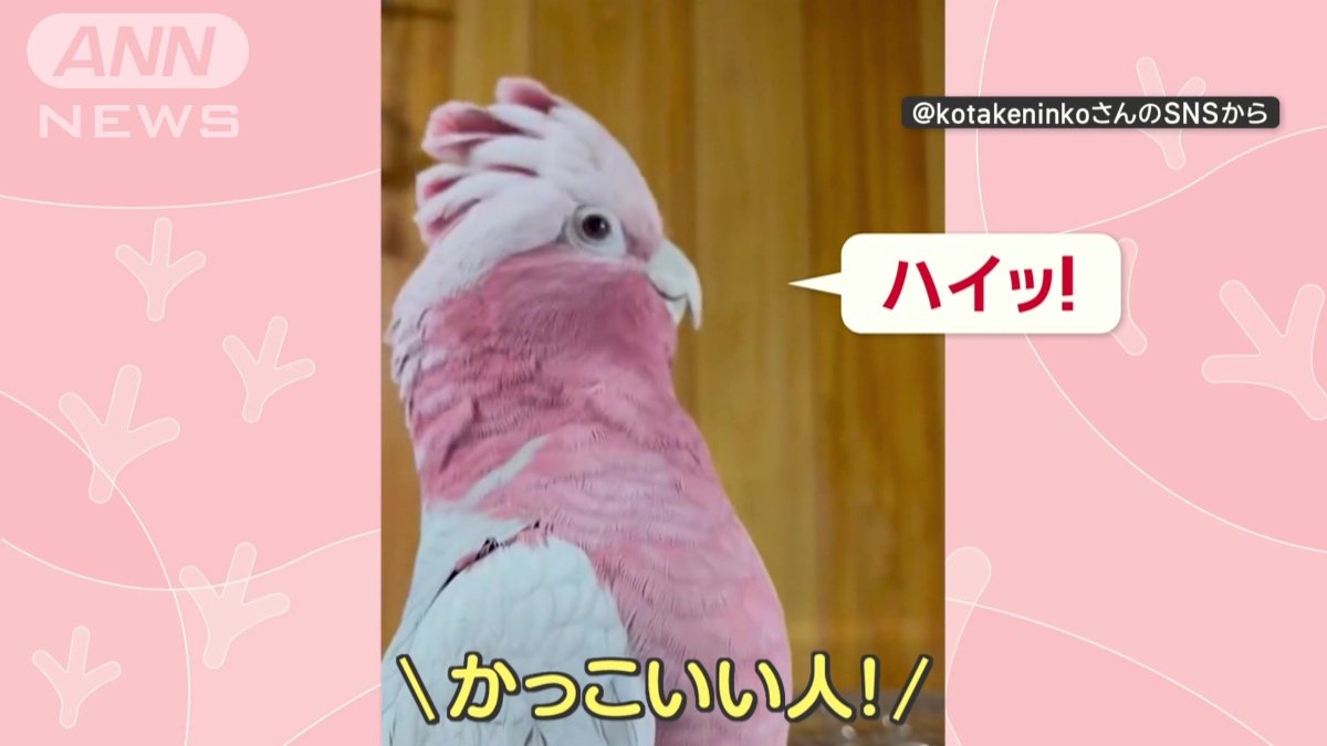 キレの良い返事