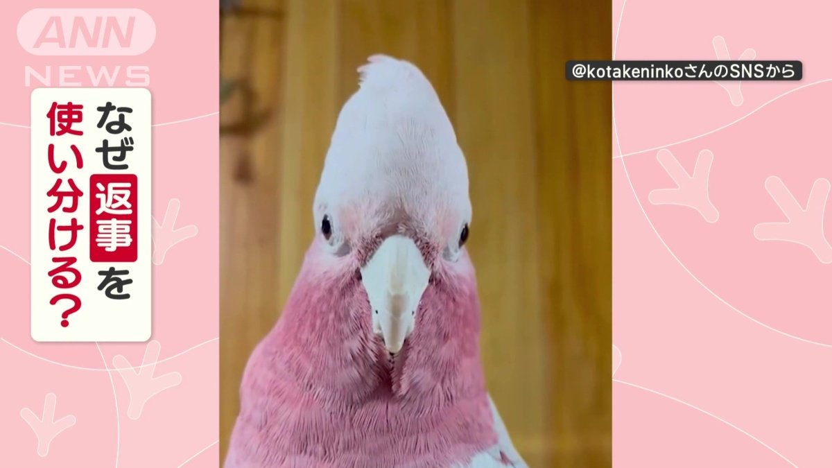 なぜ返事を使い分ける？