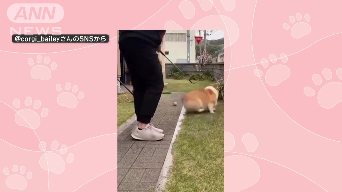 また素振りしても…