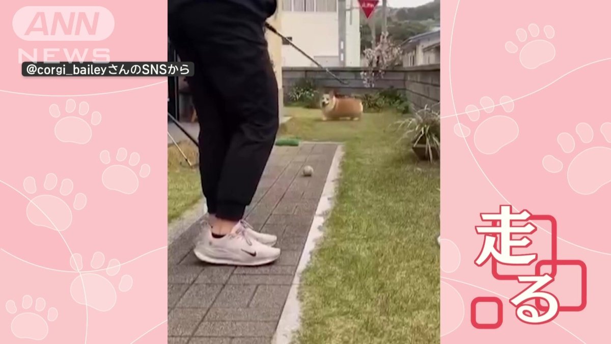 ボールがなくても走る