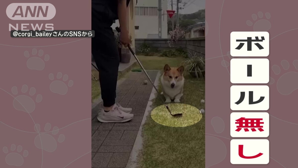 ボール無しで素振りすると…