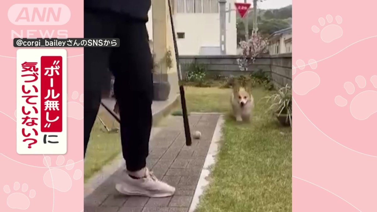 “ボール無し”に気づいてない？