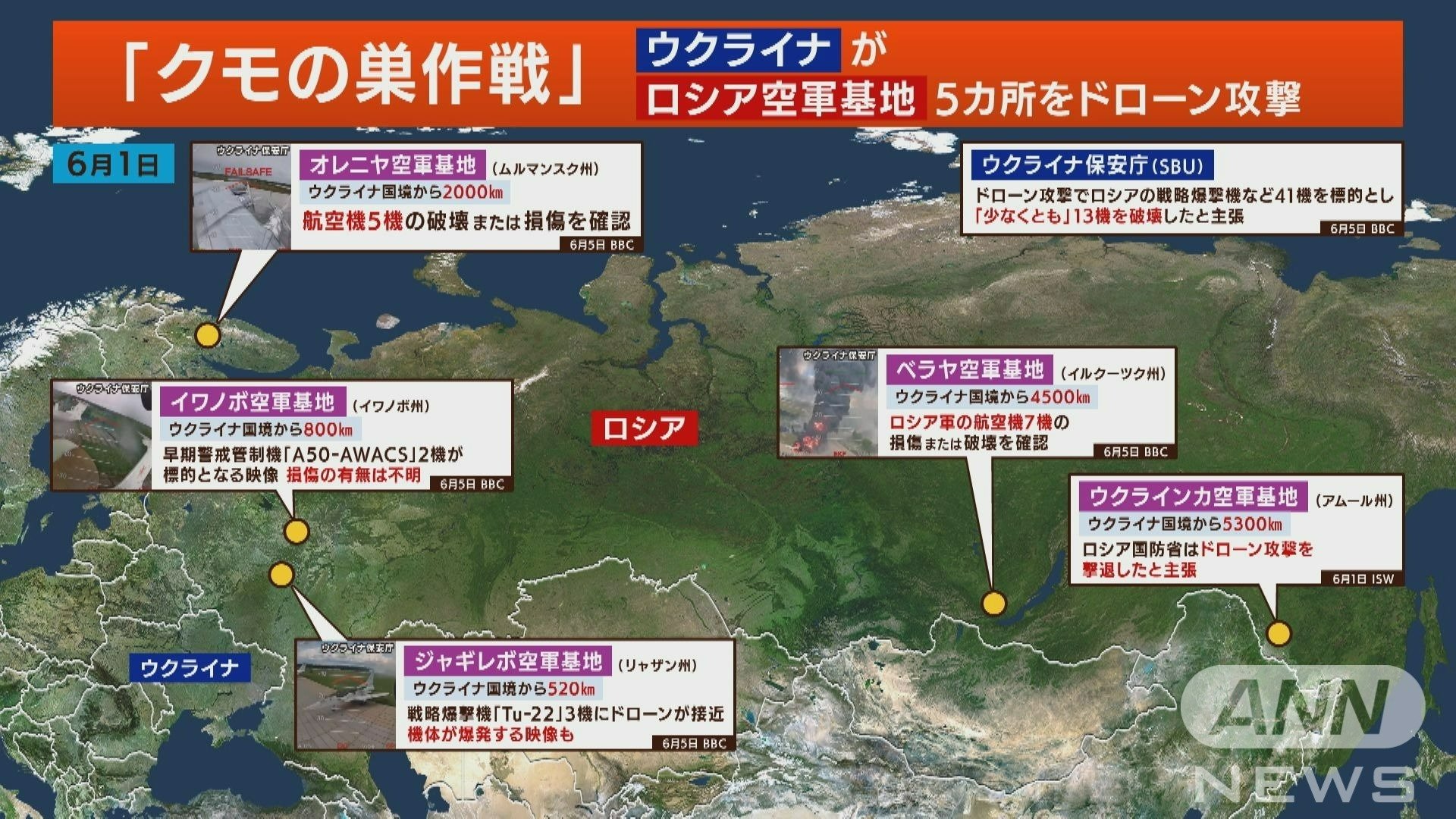 クモの巣