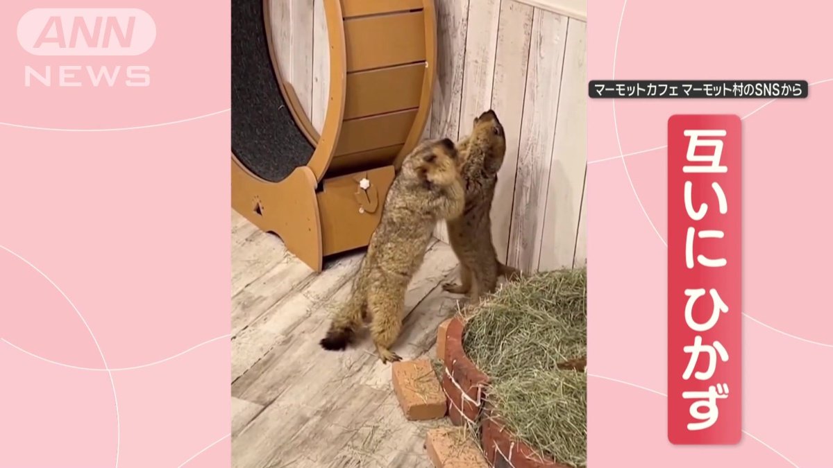 お互いにひかず