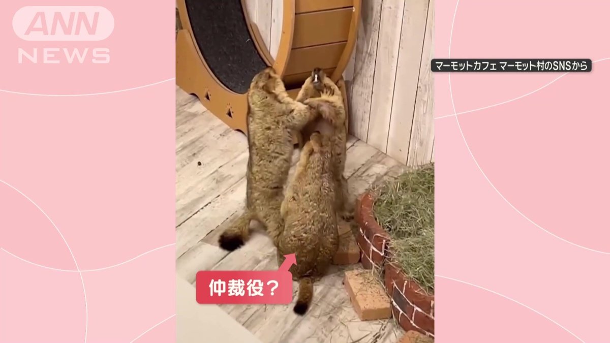 別の1匹がきても、お構いなし！